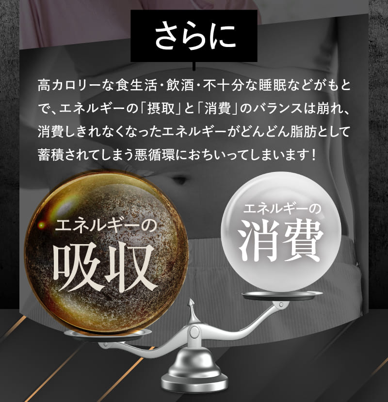 さらに高カロリーな食生活・飲酒・不十分な睡眠などがもとで、エネルギーの「摂取」と「消費」のバランスは崩れ、消費しきれなくなったエネルギーがどんどん脂肪として蓄積されてしまう悪循環におちいってしまいます!